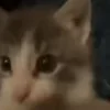😘