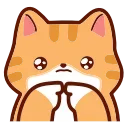 🐱