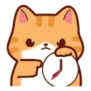 🐱