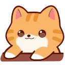 🐱