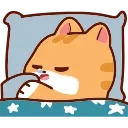 🐱