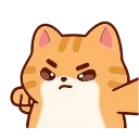🐱
