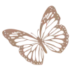🦋