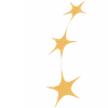 🌟