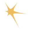 🌟