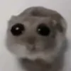 🥺