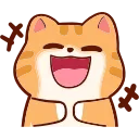 🐱