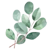 🍀