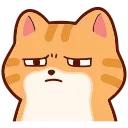 🐱
