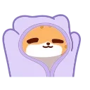 🐱