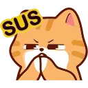 🐱