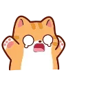 🐱