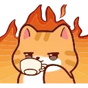 🐱