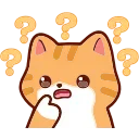 🐱