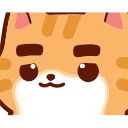🐱