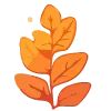 🍂