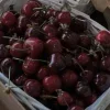 🍒