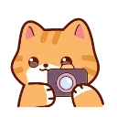 🐱