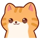 🐱