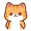 🐱