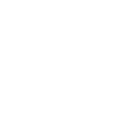 🔒