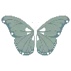 🦋