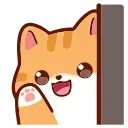 🐱