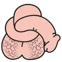😴