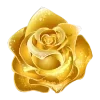 🌹