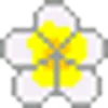 🌼