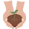 🌱