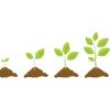 🌱
