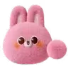 🐰