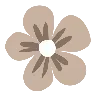 🌼