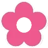 🌺