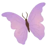 🦋