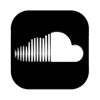 🌐