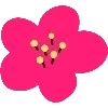 🌺
