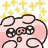 ✨