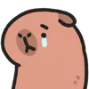 😢