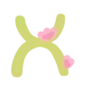 🫘