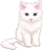 🐈