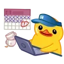 🦆