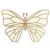 🦋