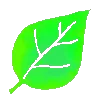 🌿
