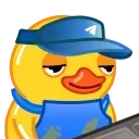 🦆