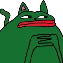 😾