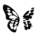 🦋