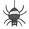 🕷