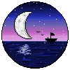 🌃